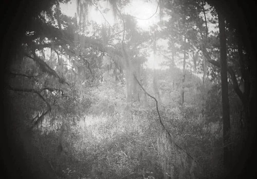 LINDA FOARD ROBERTS